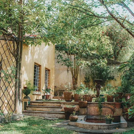 Casa Carmel Bed & Breakfast-2