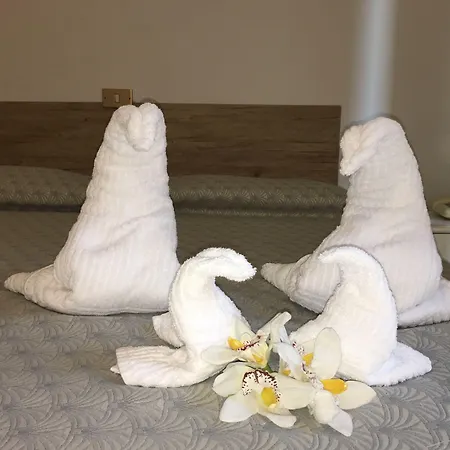Hotel Le Orchidee-2