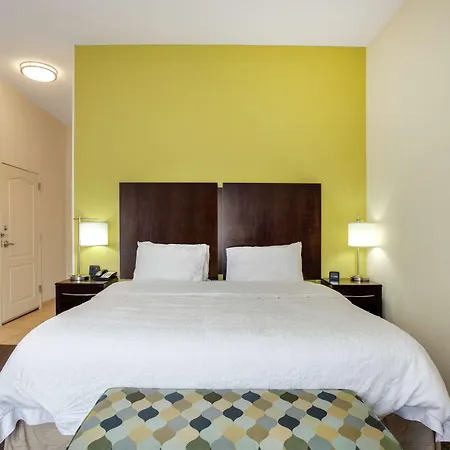 Hampton Inn Ozark-2