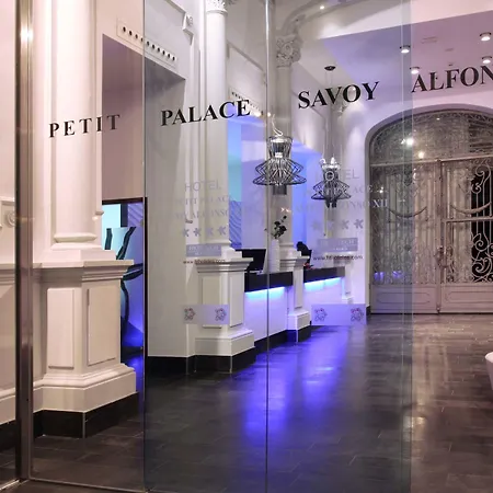 Petit Palace Savoy Alfonso XII-2