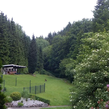 Hotel&Gasthof Hubertushöhe - Ihr Hotel für Urlaub mit Hund-3