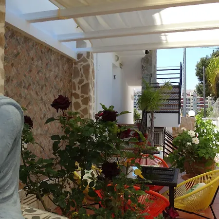 Hostal Residencial La Paloma II-2