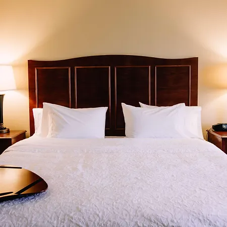 Hampton Inn & Suites Minot-2