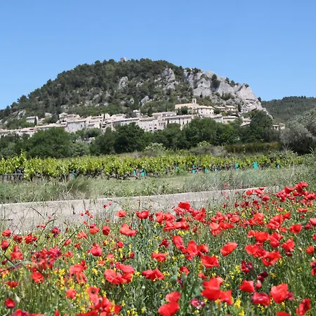 Domaine de Cabasse-3