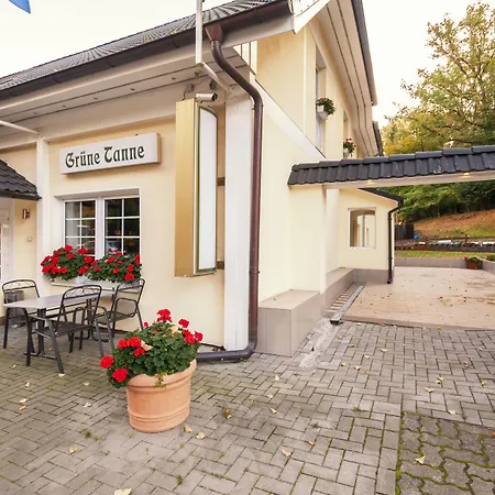 Hotel Grüne Tanne-3