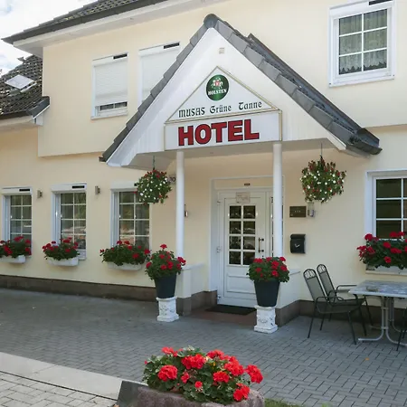 Hotel Grüne Tanne-2