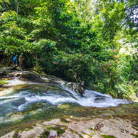 Bocawina Rainforest Resort-3