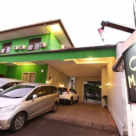Maven Buncit-3