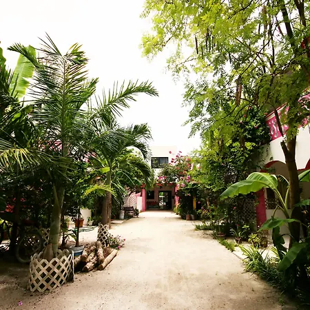 Hotel Los Arcos Holbox-2