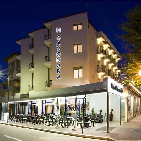 Hotel Sayonara-3