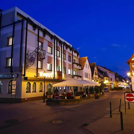 Adler Hotel&Restaurant Groß-Gerau-3