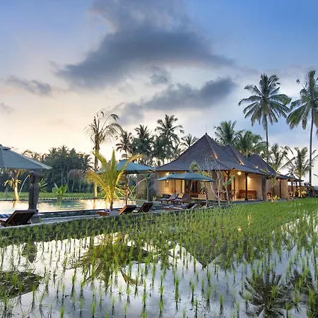 Pajar House Ubud Suite & Villas-2