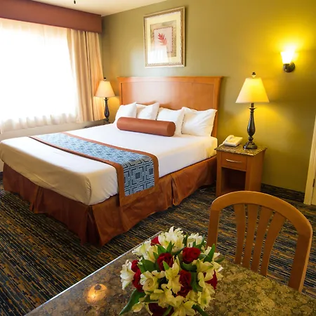 Beachwalker Inn & Suites-3