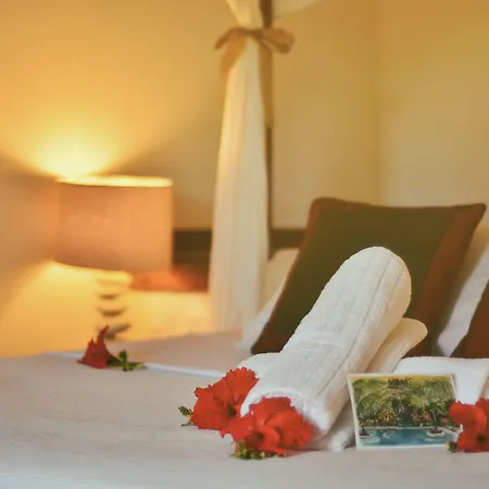 Paua Hotel Boutique-2