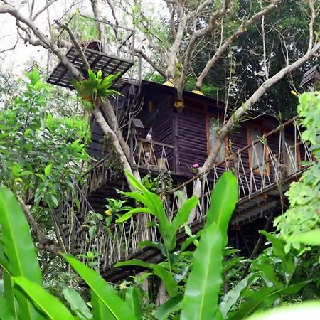 Khao Sok Tree House Resort-3