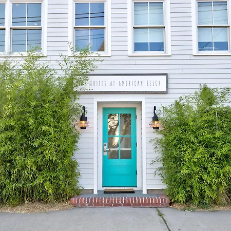 American Beech Hotel-3