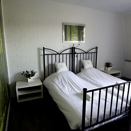 Hotel Buxus-2