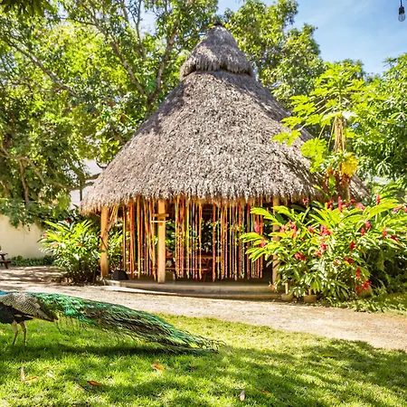 Hotel Villas Sayulita-2