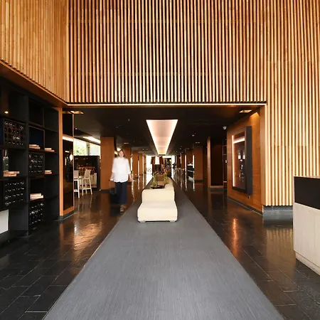 Solace Hotel Santiago-2