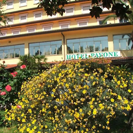 Grand Hotel Pavone-3