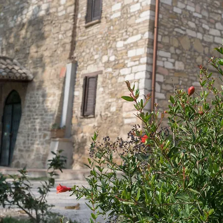 B&B Cantico Delle Creature-3