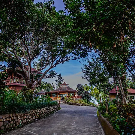 Atremaru Jungle Retreat-2