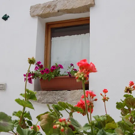 Olbia Domus Inn-3