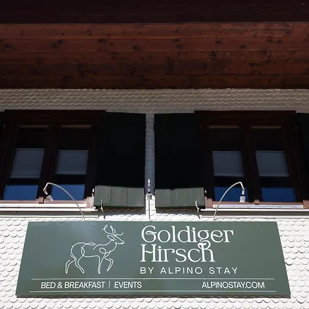 Goldiger Hirsch B&B mit Gemeinschaftsküche-3
