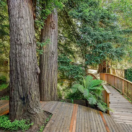 Mill Valley Inn-2
