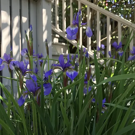 Dragonfly Guest House-2