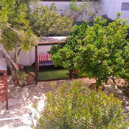 Roaz De Bandeira Guesthouse-2