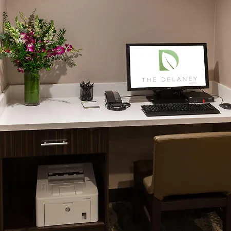 The Delaney Hotel-3