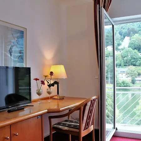 Hotel Neckarlux-3