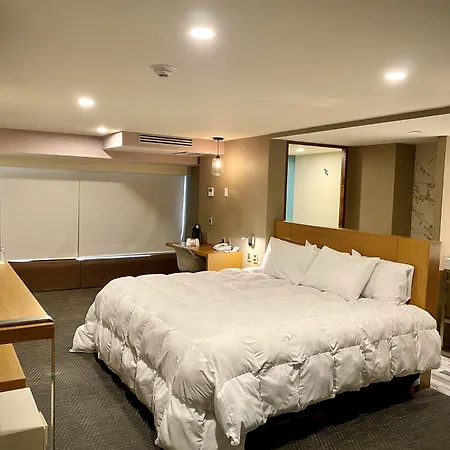 Hotel Cle Reforma Insurgentes-3
