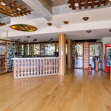 Adoro Hotel-3