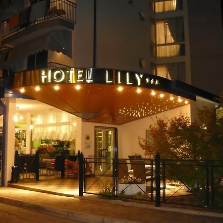 Hotel Lily-2