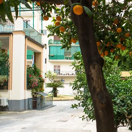 B&B Il Nido-2