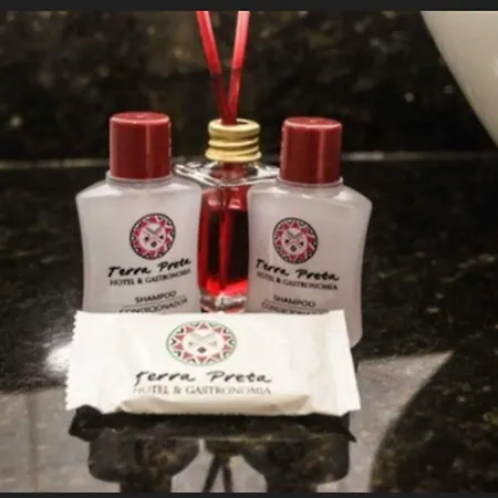 Hotel Terra Preta-3