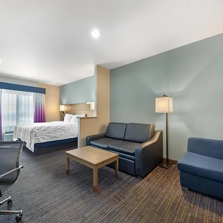 Best Western Plus San Antonio East Inn & Suites-2