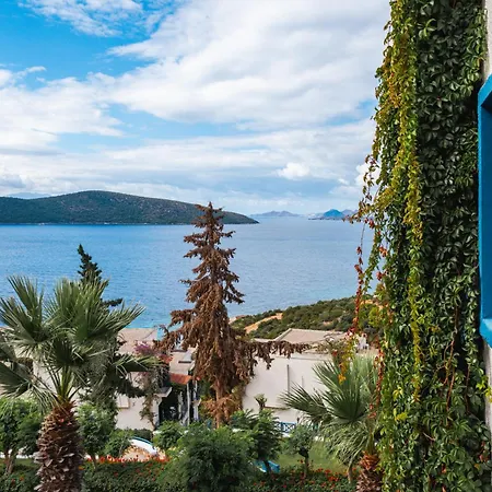 Bodrum Holiday Resort & Spa-3