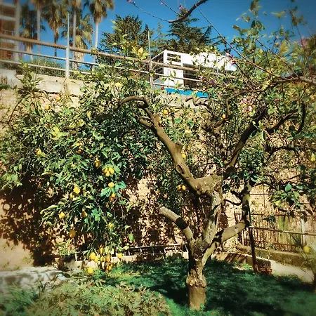 Aloha House-3