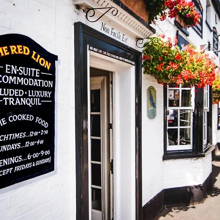 The Red Lion-2