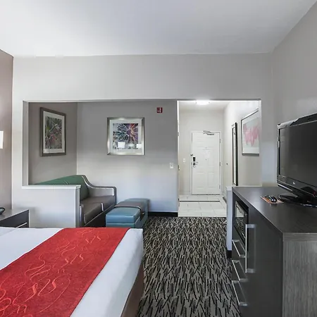 Comfort Suites Lewisville - Dallas-3