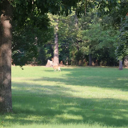 Cedar Grove Inn-3