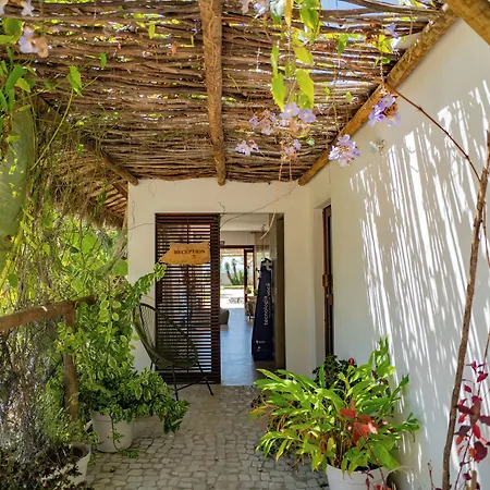 Zebra Boutique Hotel-2