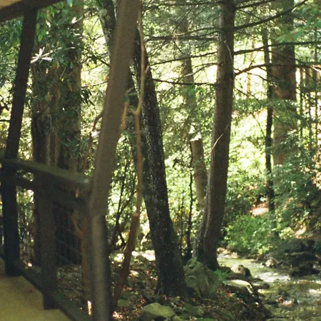 Route 19 Inn-3