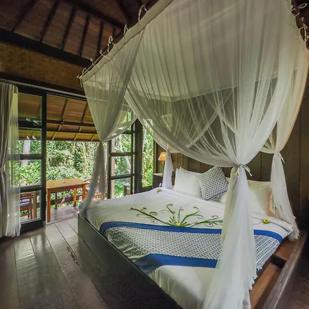 Ubud Sari Health Resort-2