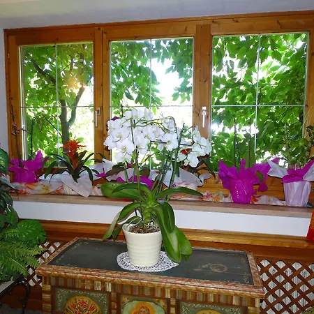 Pension Rainhof-2