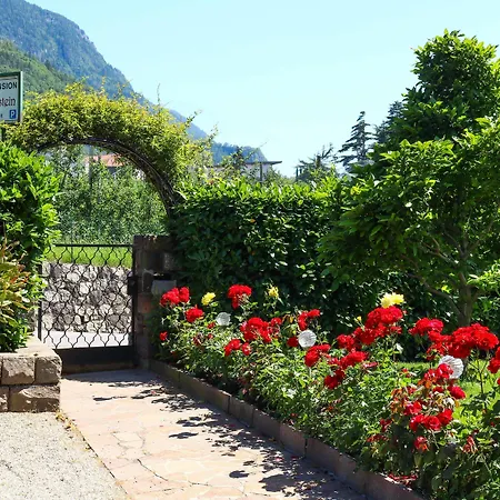 Guesthouse Pension Grafenstein-2