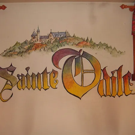 Hôtel Sainte Odile-3